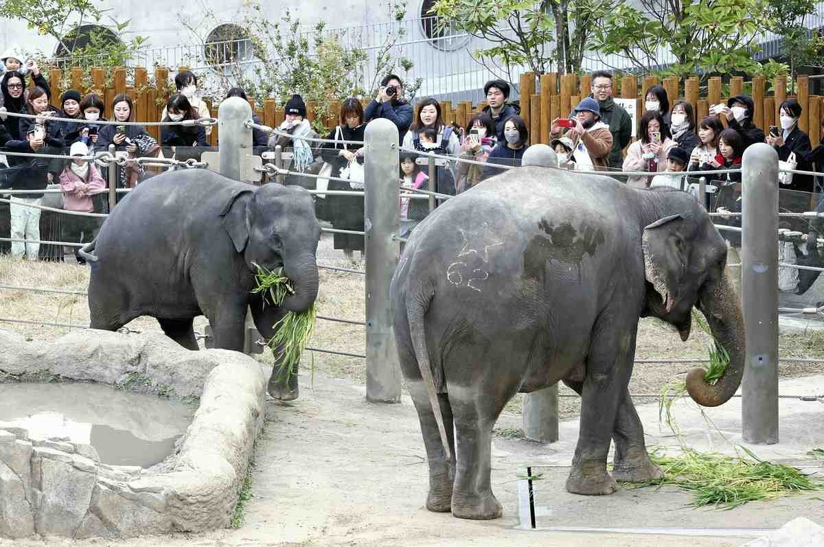 🐘 후쿠오카시 동물원/식물원 (후쿠오카시 도쇼쿠부쓰엔) 이미지 6